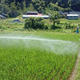 Illustration for article titled In Japan, Theres a Superhero Who...Plants Rice